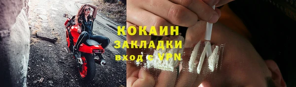 твердый Дмитриев