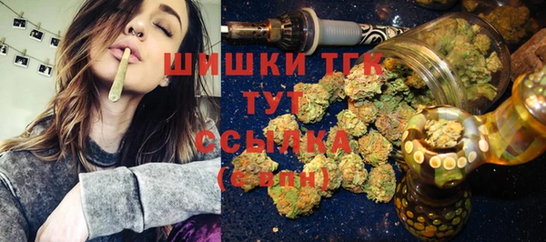 твердый Дмитриев