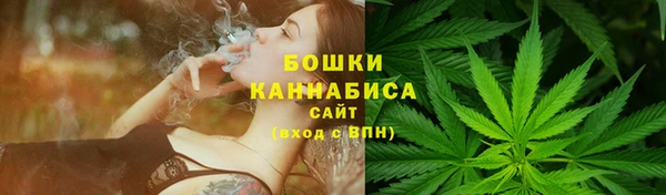 твердый Дмитриев