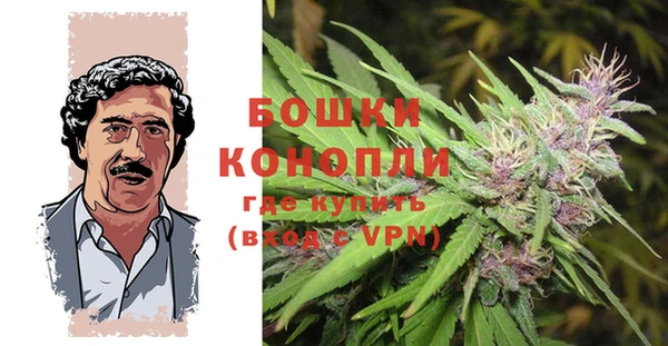 apvp Дмитров