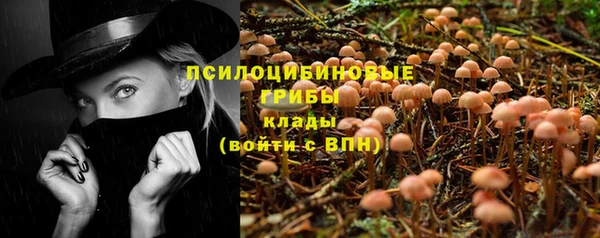 apvp Дмитров