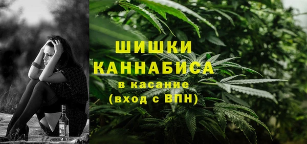 PSILOCYBIN Переславль-Залесский